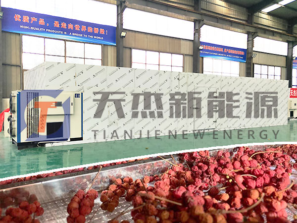五味子烘幹機