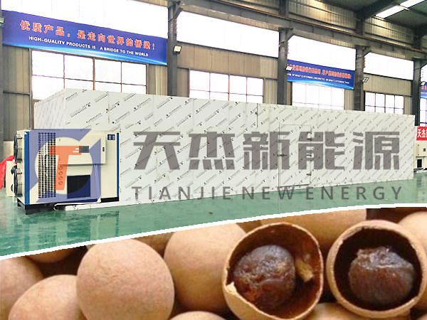 龍眼桂圓烘幹機