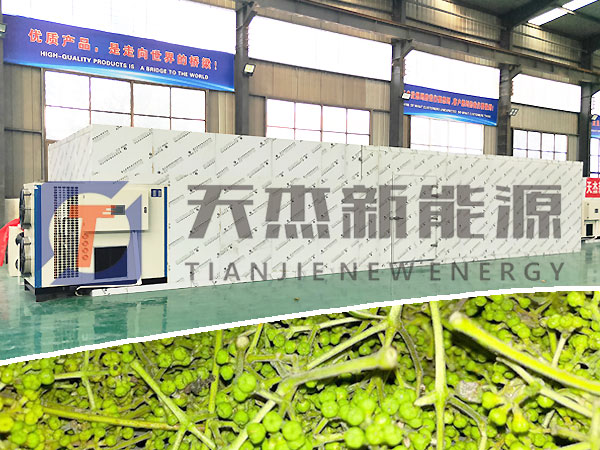 吳茱萸烘幹機