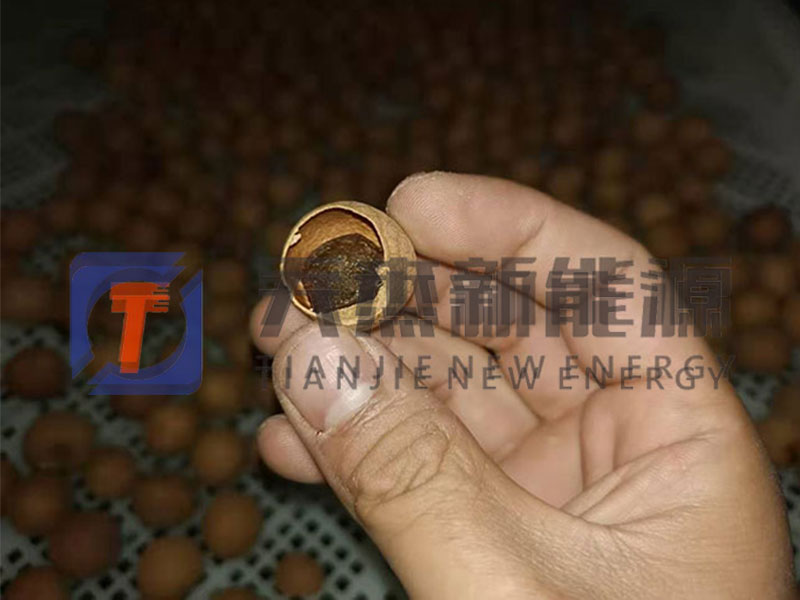 阜陽龍眼烘幹機客（kè）戶實拍現場
