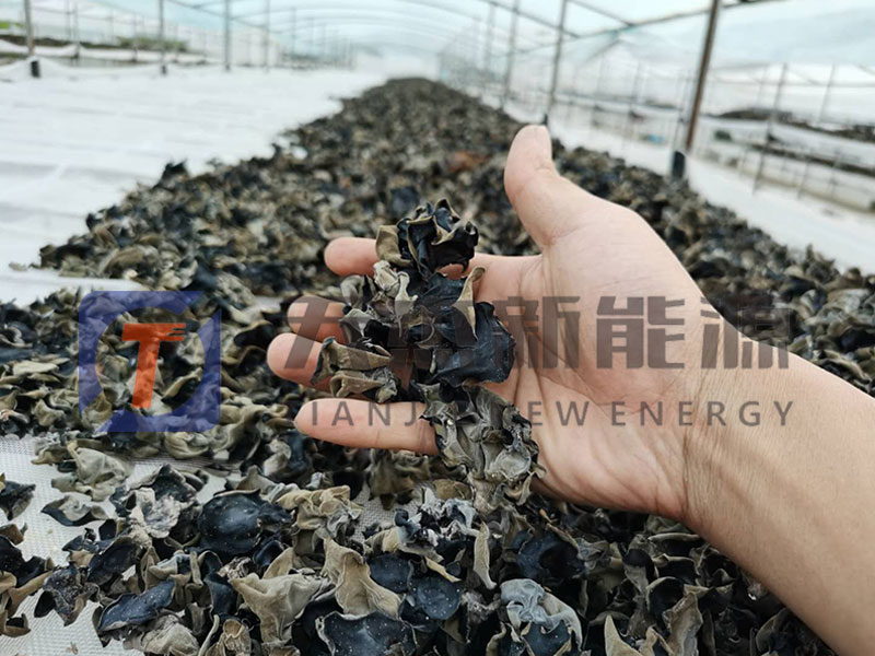 祝（zhù）黑龍江劉總木耳烘幹機（jī）開機大吉